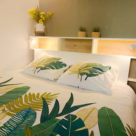 Apartamento Nid Douillet Avec Vue Cathedrale *
