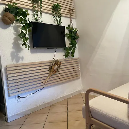 Nid Douillet Avec Vue Cathedrale