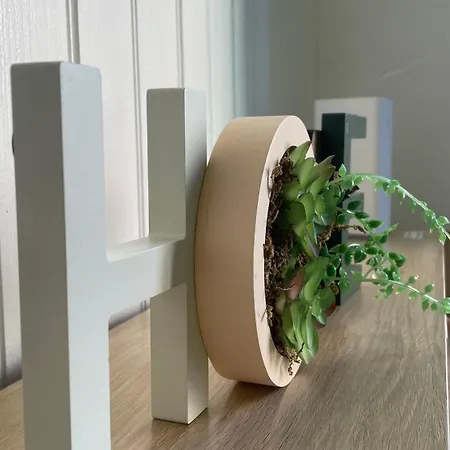 Apartament Nid Douillet Avec Vue Cathedrale *