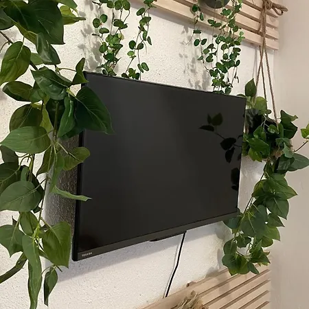 Apartment Nid Douillet Avec Vue Cathedrale *