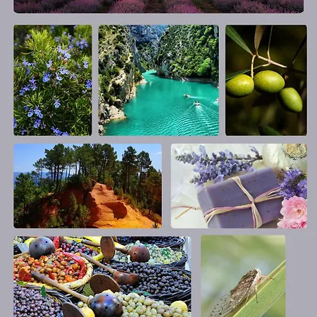 Apartment Nid Douillet Avec Vue Cathedrale