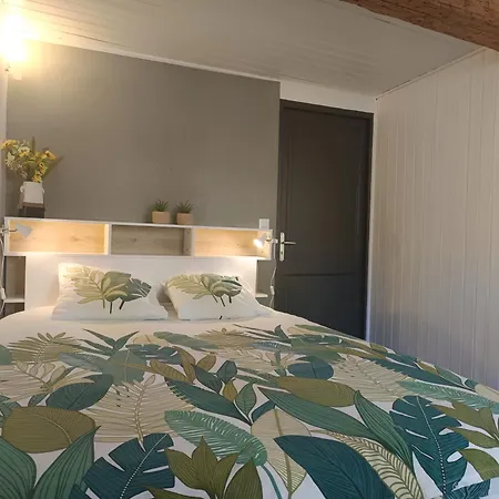 Nid Douillet Avec Vue Cathedrale *