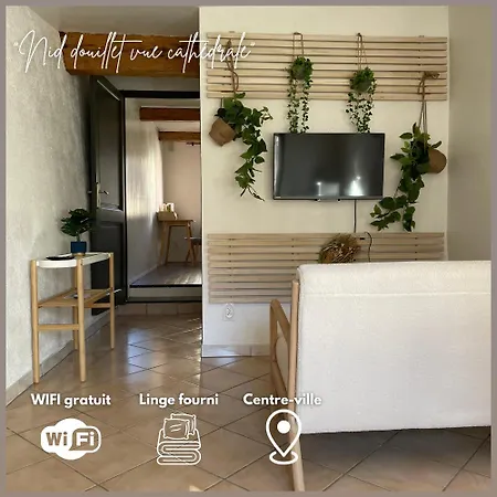 Nid Douillet Avec Vue Cathedrale Digne-les-Bains