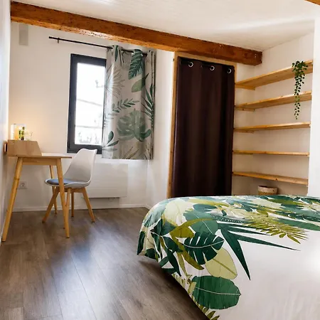 Nid Douillet Avec Vue Cathédrale Apartamento *