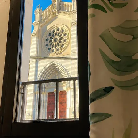Nid Douillet Avec Vue Cathedrale *