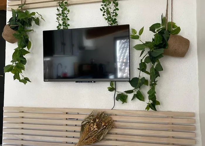 Apartment Nid Douillet Avec Vue Cathedrale