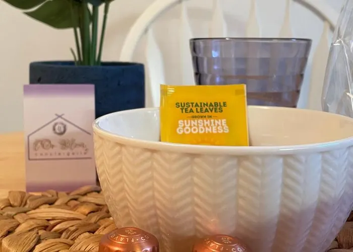 Nid Douillet Avec Vue Cathedrale Digne-les-Bains